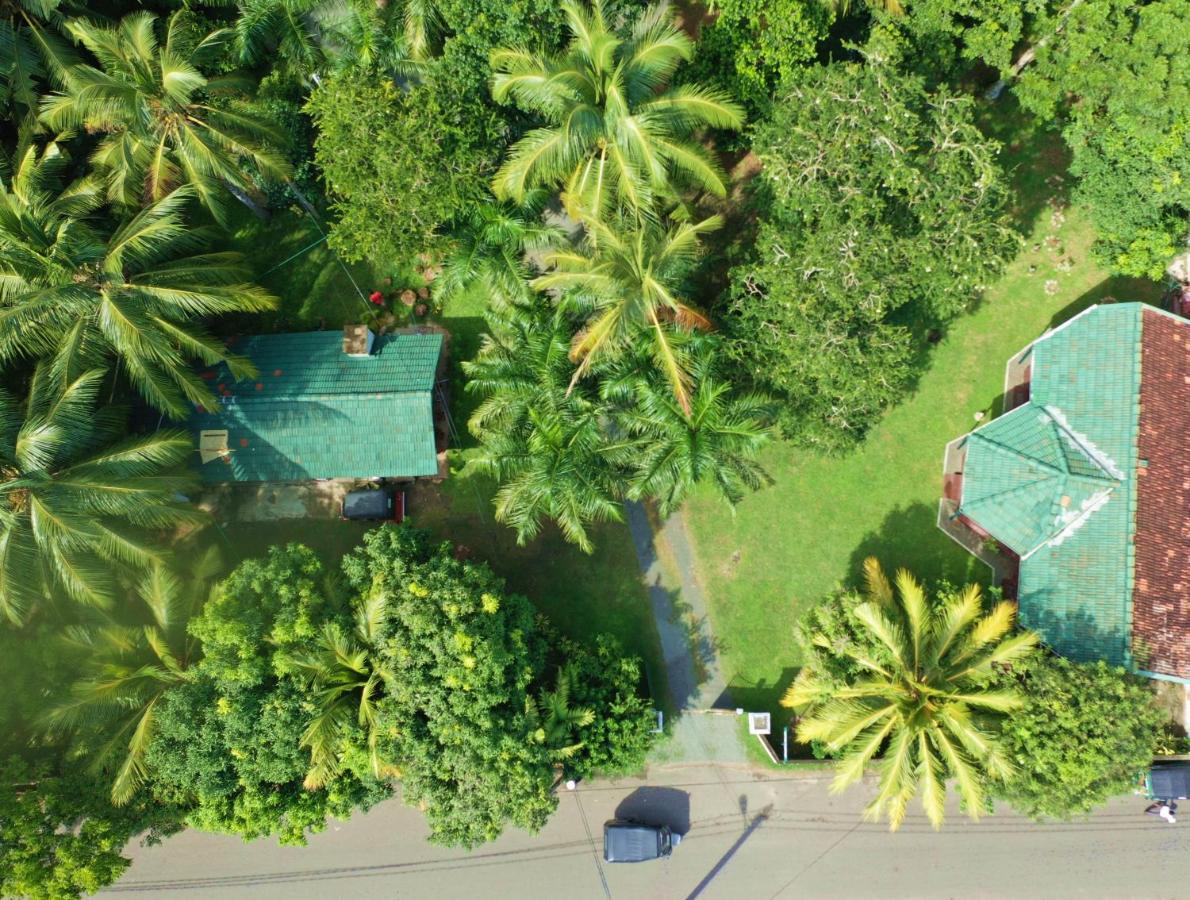 Готель Sea Avenue - Eco Garden Тангалле Екстер'єр фото